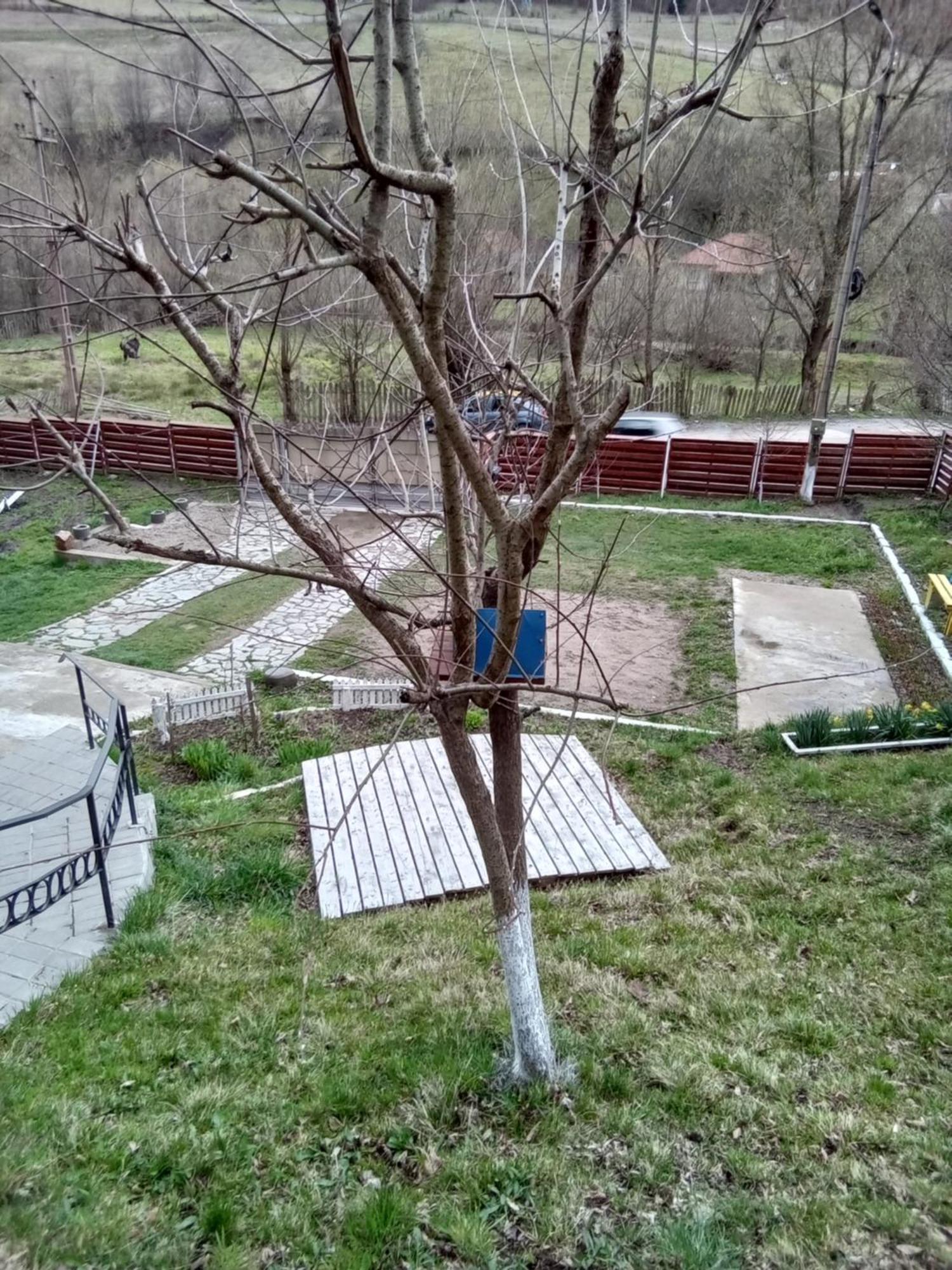 Casa Ozon 호텔 Vulcan  외부 사진